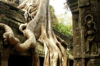 Voyager du Vietnam au Cambodge