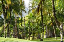 Amoureux de la nature Amoureux de la nature