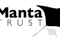 La majestueuse Raie Manta La majestueuse Raie Manta