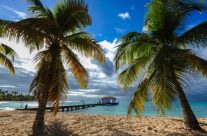 PARTIR DECOUVRIR LES ANTILLES PARTIR DECOUVRIR LES ANTILLES