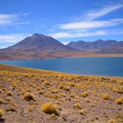 Explorer le Chili avec Atacama voyage