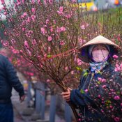 Les dates de la fête du Têt 2018 au Vietnam – Meilleurs conseils pour un voyage réussi