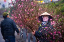 Les dates de la fête du Têt 2018 au Vietnam – Meilleurs conseils pour un voyage réussi