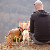 Comment partir en camping avec votre chien ?