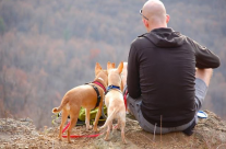 Comment partir en camping avec votre chien ?