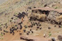 Le massif de Toubkal, une destination de choix pour les amateurs de randonnée Le massif de Toubkal, une destination de choix pour les amateurs de randonnée