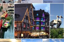 UNE EXPERIENCE AUTHENTIQUE ET HAUTE EN COULEUR, UN PARTAGE, BIENVENUE DANS LA RÉGION GRAND EST ! UNE EXPERIENCE AUTHENTIQUE ET HAUTE EN COULEUR, UN PARTAGE, BIENVENUE DANS LA RÉGION GRAND EST !