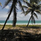 Louer une voiture : la solution pour visiter la Martinique