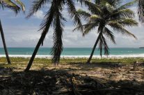 Louer une voiture : la solution pour visiter la Martinique