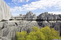 Visiter les lieux les plus emblématiques de Madagascar