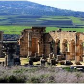 Volubilis la fleur du « Khoumane »