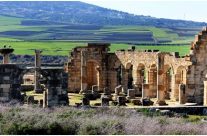 Volubilis la fleur du « Khoumane »