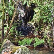 Visiter Madagascar en saison des pluies : des couleurs somptueuses.