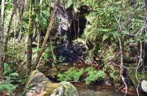 Visiter Madagascar en saison des pluies : des couleurs somptueuses.