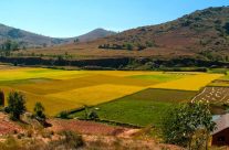 Voyager dans les hautes terres de Madagascar