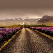 Aurores boréales : comment et où les admirer en Islande !