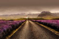Aurores boréales : comment et où les admirer en Islande !