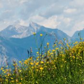 Vacances d’été à la montagne : les meilleures destinations