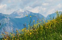 Vacances d’été à la montagne : les meilleures destinations