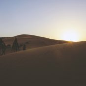 Randonnée chamelière 8 jours dans le Tassili N’Ajjer au Sahara avec Atypic Travel