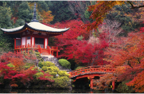 Pourquoi vous devez partir en voyage au Japon une fois dans votre vie