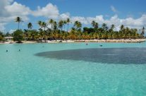 Partir en Guadeloupe au bon moment Partir en Guadeloupe au bon moment