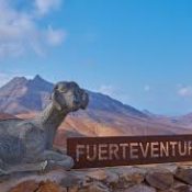 4 visites incontournables à faire et à voir à Fuerteventura