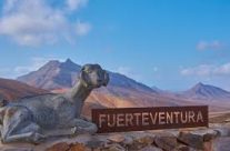 4 visites incontournables à faire et à voir à Fuerteventura 4 visites incontournables à faire et à voir à Fuerteventura