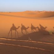 Voyage culturel, voyage d’aventure : explorer le Maroc et son désert