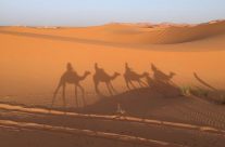 Voyage culturel, voyage d’aventure : explorer le Maroc et son désert
