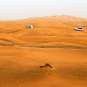 Astuces pour découvrir Dubaï moins cher