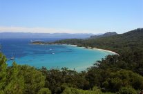 Découvrir toutes les beautés de Porquerolles Découvrir toutes les beautés de Porquerolles