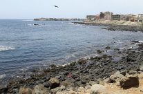 Comment bien préparer son voyage au Sénégal ? Comment bien préparer son voyage au Sénégal ?