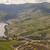 La Vallée du Douro, l’incontournable visite à faire à Porto