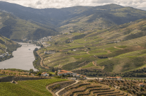 La Vallée du Douro, l’incontournable visite à faire à Porto La Vallée du Douro, l’incontournable visite à faire à Porto