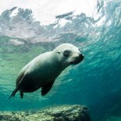 La Basse Californie, (Mexique) cette étrange péninsule qui fascine de plus en plus de voyageurs