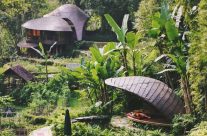 Comment choisir un hôtel axé sur l’écologie en voyage ?