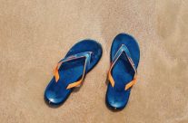 Colonies de vacances à la mer : quels sont les avantages ? Colonies de vacances à la mer : quels sont les avantages ?